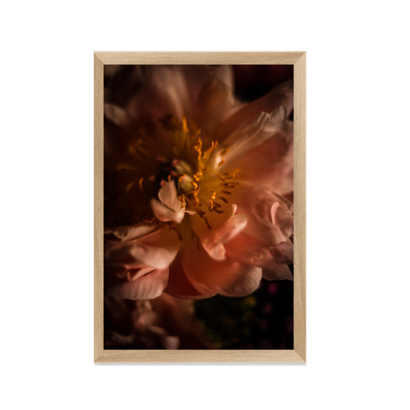 Ripe Flora Fine Art Photographic Print